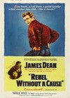 Rebel Without A Cause (1955)6.jpg